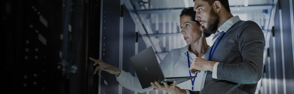 Develop an IT Infrastructure Services Playbook preview picture